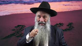 איך יודעים אם זה הזיווג שלי ? הרב מנחם ברוש HD