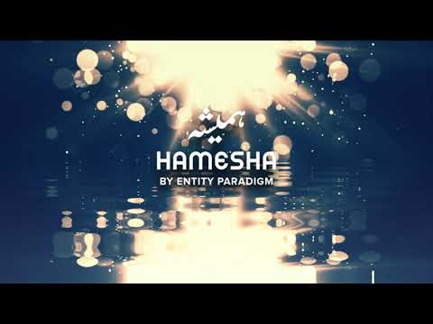 Hamesha - Entity Paradigm | The Yellow Case