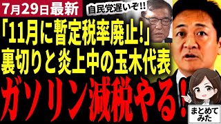 【国民民主党最新】「暫定税率廃止を11月より早く！」裏切りと炎上中の玉木代表が約束！石破総理続投にもド正論！国民の期待を受け止め切れるか！？自民党から政権奪取へ最後の難関【勝手に論評】