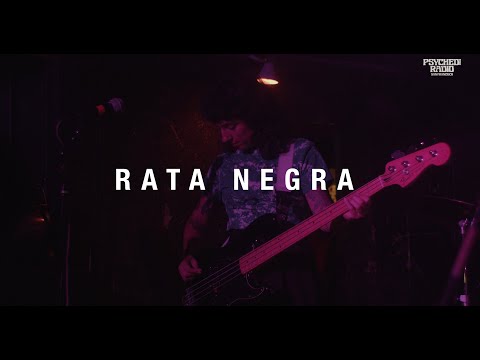Rata Negra - Desconfia De Ese Chico. Live at The KnockOut