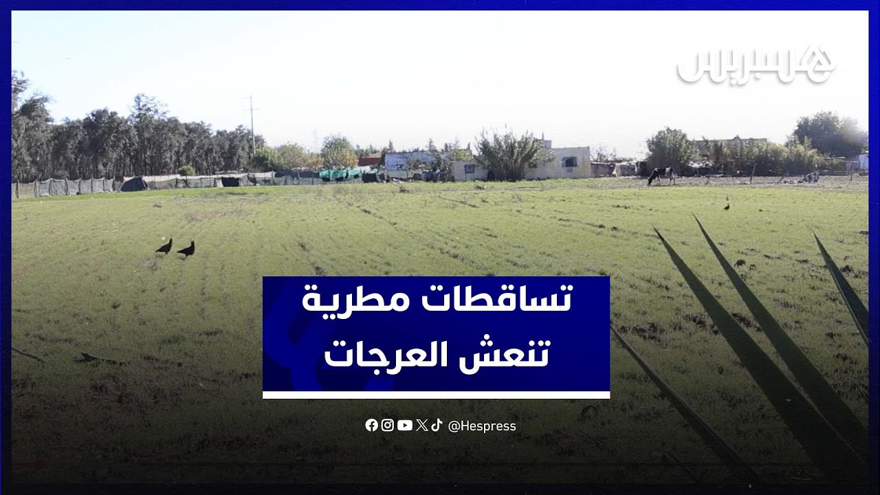 الأمطار تنعش الموسم الفلاحي وتعيد الأمل لحقول العرجات thumbnail