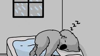 sleep gif