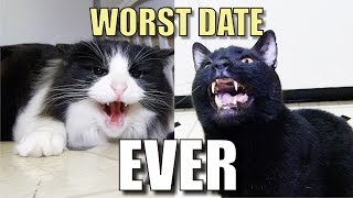 Talking Kitty Cat 38 - Worst Date Ever