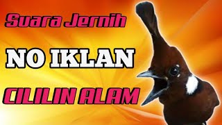 Download lagu MASTERAN CILILIN JERNIH DURASI (1 JAM) TANPA IKLAN // terbaru 2021 mp3