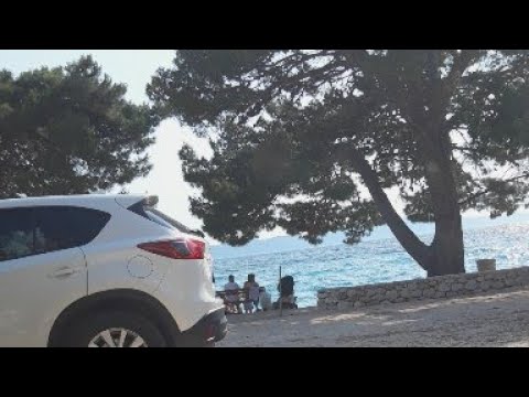 ApartmaNet začenja oddajati v živo! Zivogosce Porat