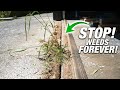 How To Get WEED FREE Sidewalks And Driveways The PERMANENT Solution DIY