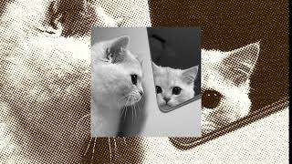 Download lagu Sesal – Salma Salsabil ( Speed Up   Reverb ) mp3 Download lagu Sesal – Salma Salsabil ( Speed Up   Reverb ) mp3