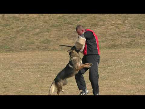 MM MSKS Zbraslav 2016 - Kaskounová Martina - Dick Vikar - obrana/defense