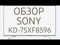 Телевизор LED Sony KD75XF8596BR2 черный - Видео