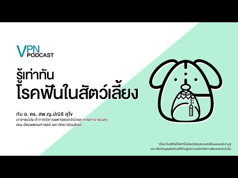 VPN Podcast EP.31 - รู้เท่าทัน โรคฟันในสัตว์เลี้ยง