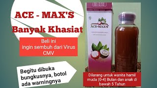 Download lagu ACE MAX'S has many benefits, but should not be consumed by pregnant women in the early stages (0-... mp3