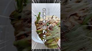 山わさびを増やしたい！