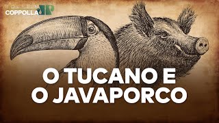O Tucano e o JavaPorco – Boletim n.067 (11/04/2022)