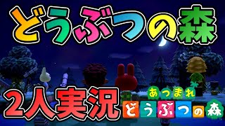 【あつ森】夏の夜の虫取り【あつまれどうぶつの森】