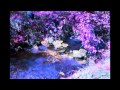 Back to Manhattan - Sung by Norah Jones 