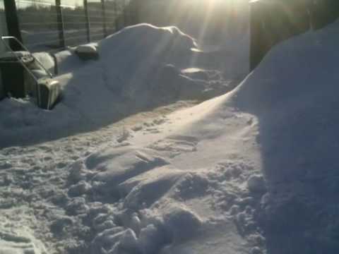 Hiihtolomaleiri - Päivä 4 / On se ilmoja pidelly + Simo Valakarin kuulumiset