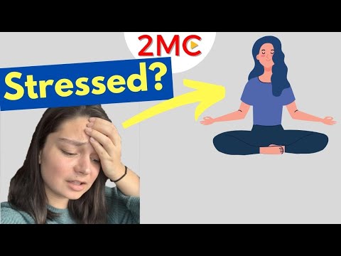 How Stress Affects Your Body and How You Can Reduce Stress | Featuring Methodically Maya