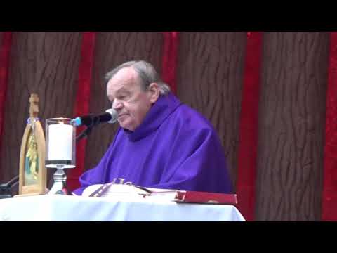 PIAŚNICA,  KAZANIE 11 LISTOPADA 2020, PIETA TRZYMAJĄCA JEZUSA NA RĘKACH,  INNE RZEŹBY, BRAMA, OŁTARZ