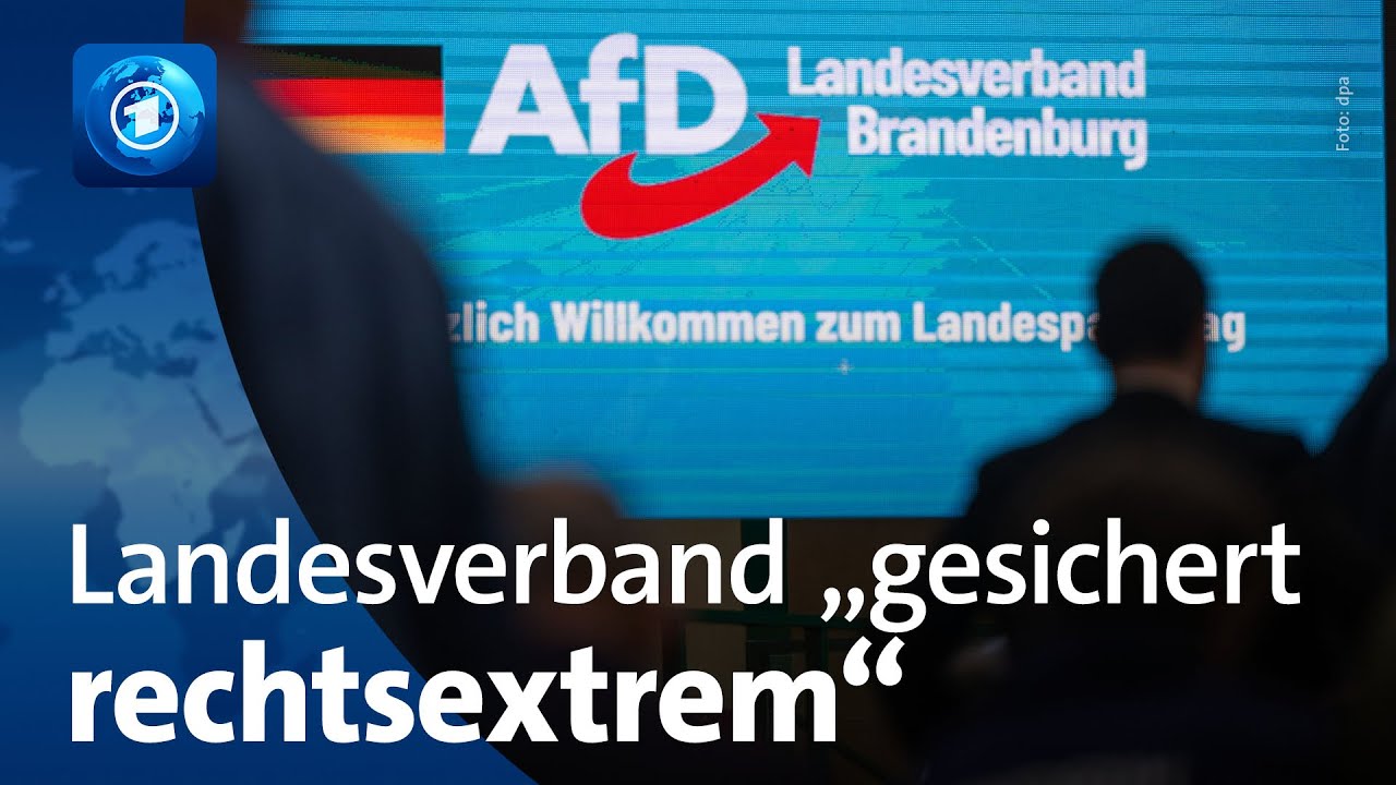 Gutachten des Verfassungsschutzes: AfD in Brandenburg „gesichert rechtsextremistisch“