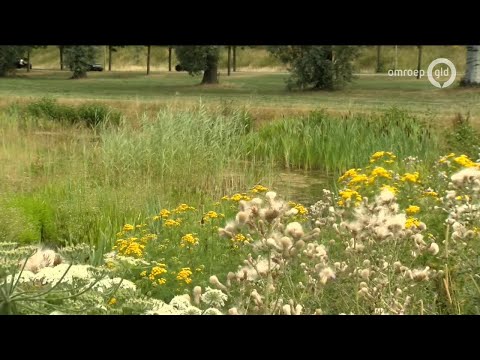 GLD Nieuws 22 juli 2019