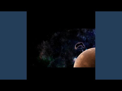 Rare Bitches (feat. DJ B Knockin)