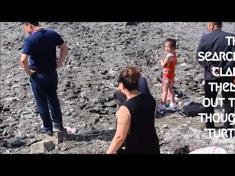 VLOG: Visit to Harbin CHINA