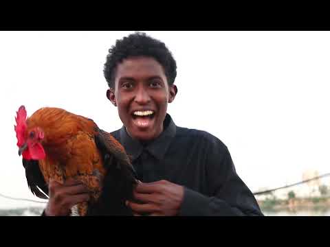 Sharma Boy ft. Haanoo Cadee - Sokoreey (Official Music Video)