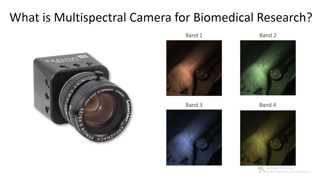 Monitoring Blood Flow and Oxygen Saturation using a Multispectral Camera