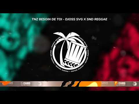 TNZ BESOIN DE TOI - Djoss SVG X SND REGGAE