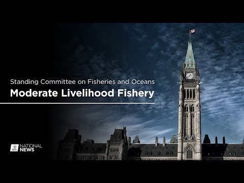Standing Committee on Fisheries and Oceans discusses the moderate livelihood fishery | APTN News