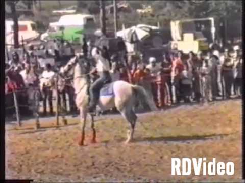 RDVideo - 1999 Fiera Cavalli Carraia - Gara di Pole Bending