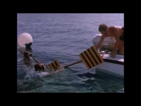 Shark Deterrent - Stripes Tested By Cousteau & Dr Eugenie Clark