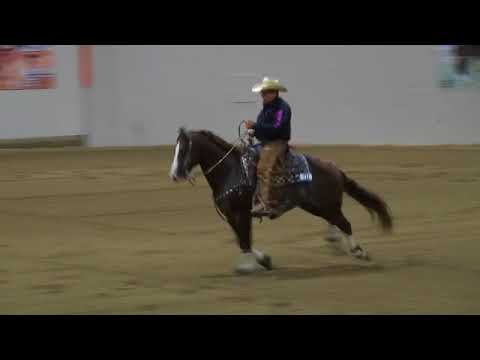 Brother Jackson Rein Work