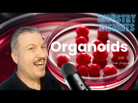 Organoids