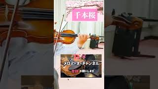 Download lagu 【千本桜】より　黒うさP　作詞・作曲 mp3