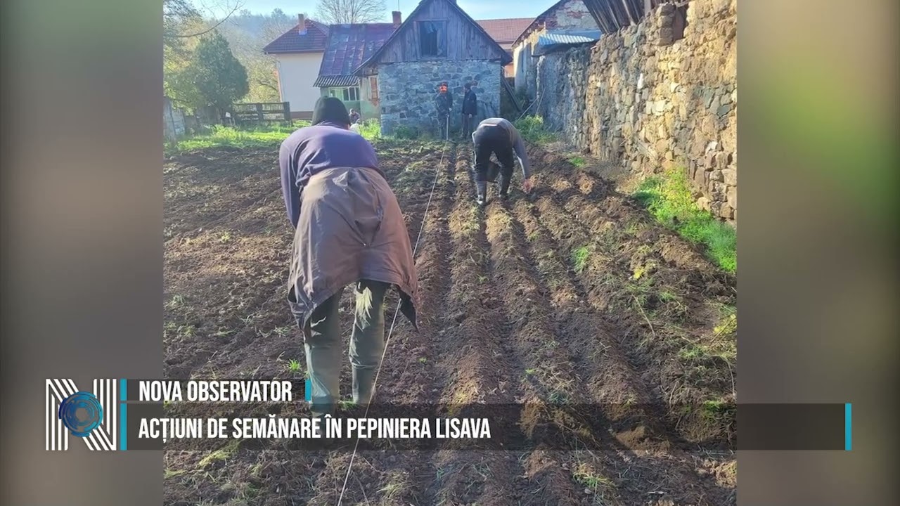 Acțiuni de semănare în pepiniera Lisava