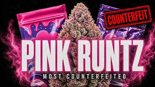 Pink Runtz: The Most Counterfeited Strain Ever