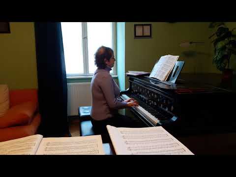 Inselt Katalin: Moderato