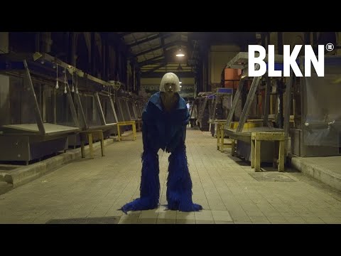 NIKOLIJA - GRINGO (OFFICIAL VIDEO)