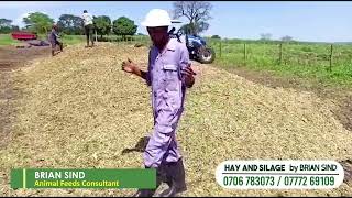 How to compact silage