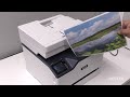 Spausdintuvas XEROX B225, Baltos/Pilkos spalvos