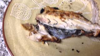 Brook Trout Snack. Yum!