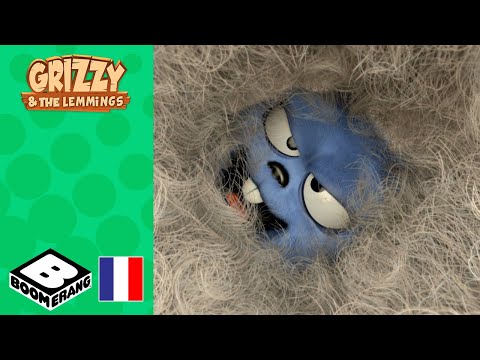 La guerre des moutons | Grizzy et les Lemmings | @boomerangFR