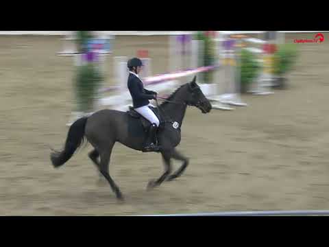 Jugend-Challenge Verden -  Stilspringprüfung Kl. M* -  Natalia Stecher/ Coulyn