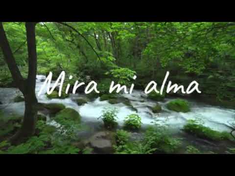 ESCUCHA ESTO TE HARA LLORAR Y TE LLENARA DE LA PAZ DE DIOS. sed de tu presencia- John Eli