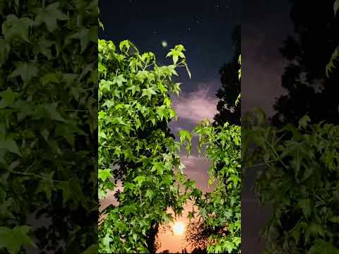Paula Santander-15