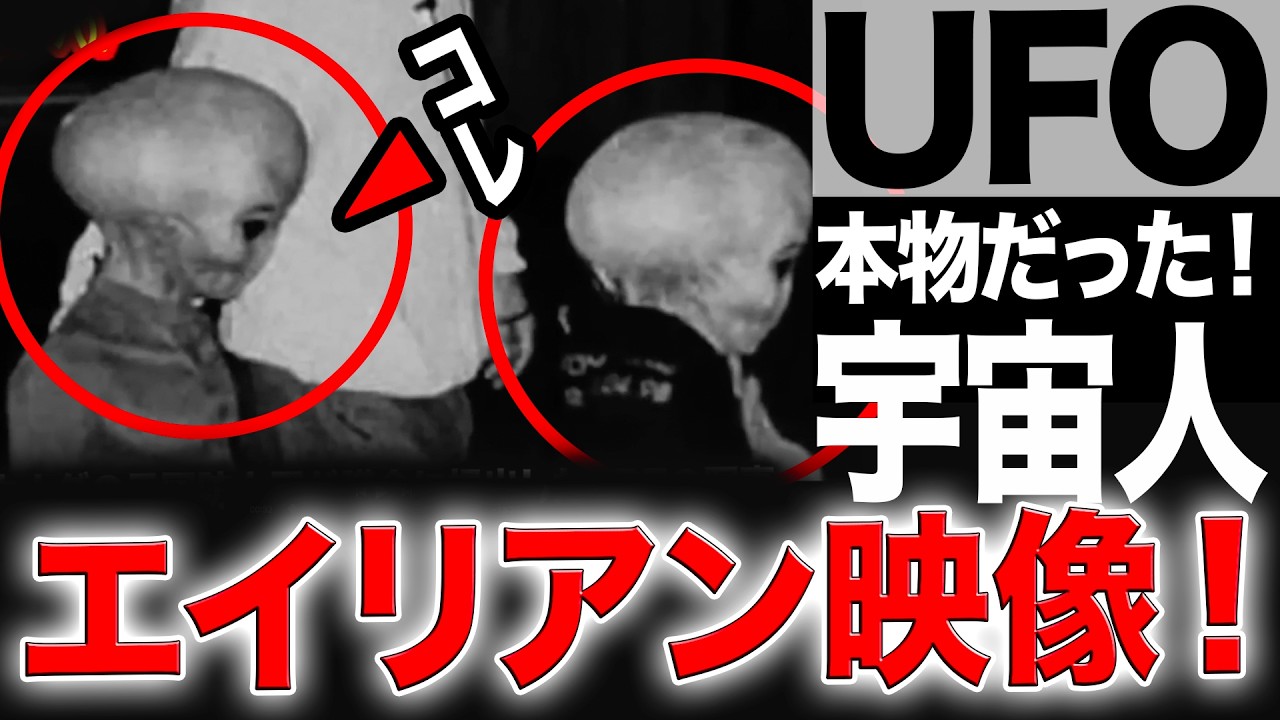 《おお！神様！》リアル宇宙人映像と「世界のUFO映像最新2025」＜24分＞【YOYO555MAX】