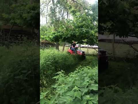 solo® by AL-KO T22-110.0 HDH-A V2 Premium