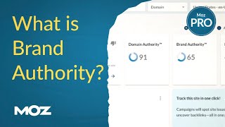 Brand Authority: The Moz Metric That Measures Your Brand's Strength
