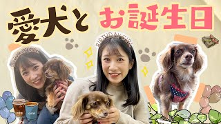 【誕生日】いっちー誕生日🎂愛犬と一緒にサプライズしてみた🐶【29才】